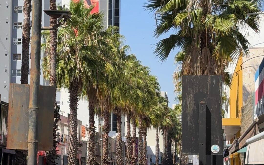 Dia dos Pais: comércio de Votuporanga terá horário especial neste sábado